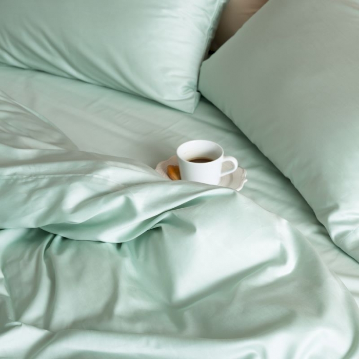 91家纺网 家纺一手货源 找家纺 涞澳家纺 2019新款60长绒棉平色简易四件套 艾草绿