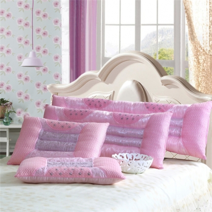 锦绣万家 双人枕芯双人枕头情侣枕