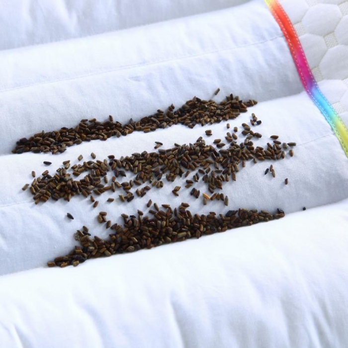 91家纺网 家纺一手货源 找家纺 锦绣万家 2017双人枕头情侣枕芯七彩决明子长枕头