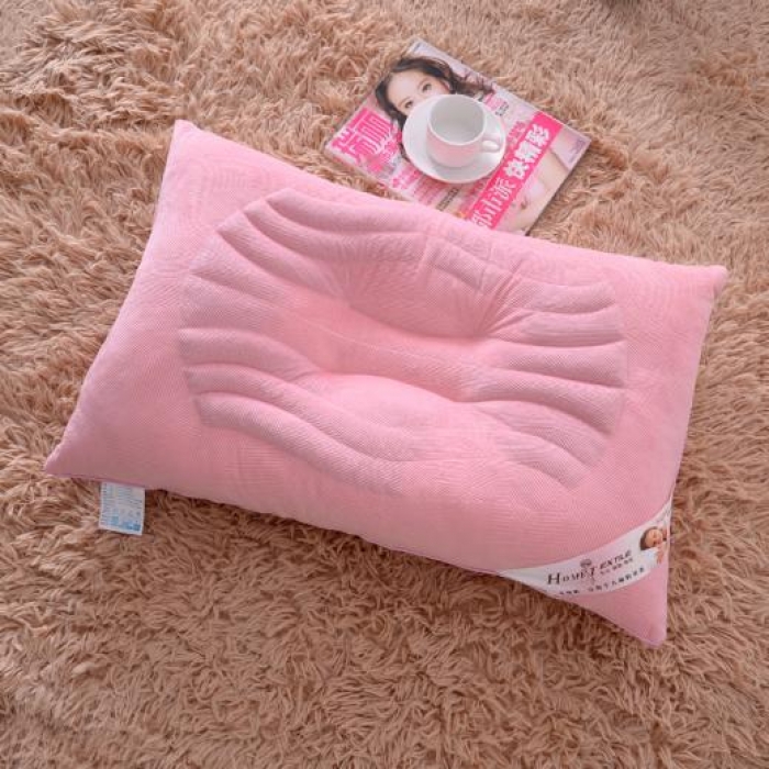 91家纺网 家纺一手货源 找家纺 （总）锦绣万家 决明子浪琴枕头枕芯2色