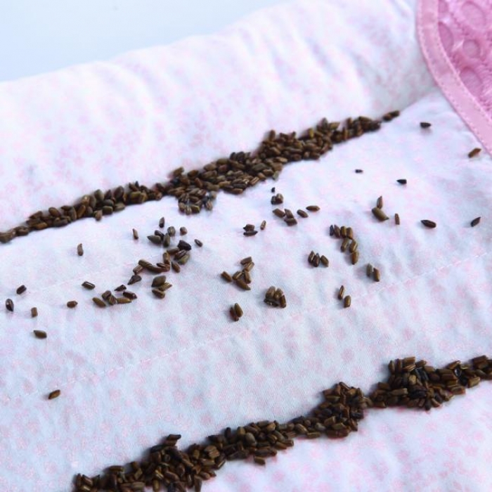 91家纺网 家纺一手货源 找家纺 锦绣万家 决明子儿童枕头学生枕芯绣花款30*50cm