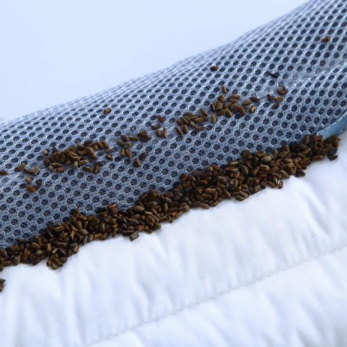 91家纺网 家纺一手货源 找家纺 决明子儿童枕头学生枕芯绣花款30*50cm 尖角决明儿童枕