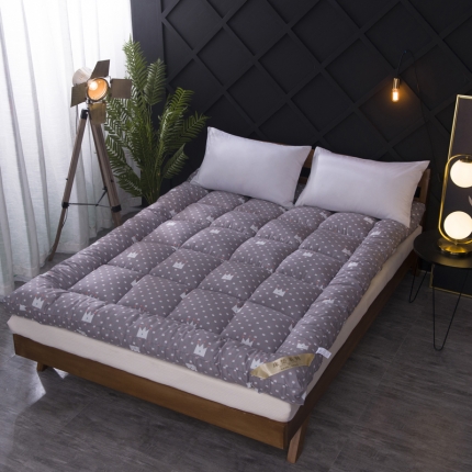 暖季家纺2021新款加厚 磨毛印花羽丝绒立体床垫 小可爱