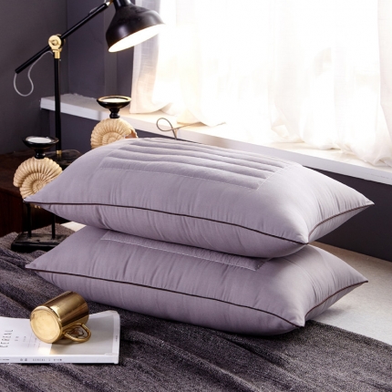 91家纺网 家纺一手货源 找家纺 （总）仁宇枕业 2019新款枕芯荞麦两用枕头46*72一个