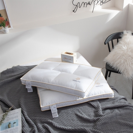 91家纺网 家纺一手货源 找家纺 帝诺妮枕芯坊 2019简约全棉分区低枕芯 白色一只