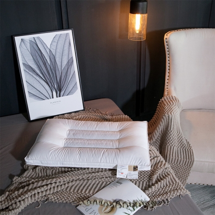 91家纺网 家纺一手货源 找家纺 帝诺妮枕芯坊 2019决明子小米壳舒适保健成人枕 白色一只