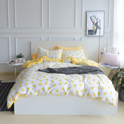 (总)梦家居 2017韩国简约A棉B绒四件套