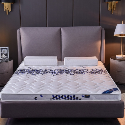 顺丰包邮时奥家纺2019新款3E环保椰棕乳胶床垫场景二S20-1