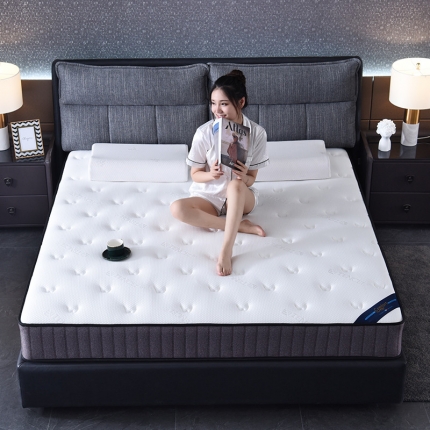 顺丰包邮时奥家纺 2019新款独立弹簧床垫 S01