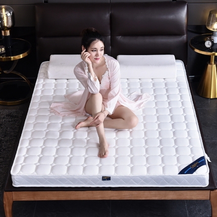 顺丰包邮时奥家纺2019新款3E环保椰棕乳胶床垫场景二S26-1