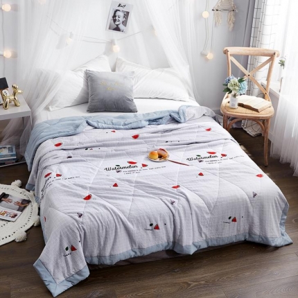 小燕燕家纺 2021新款水洗棉夏被空调被 冰爽西瓜