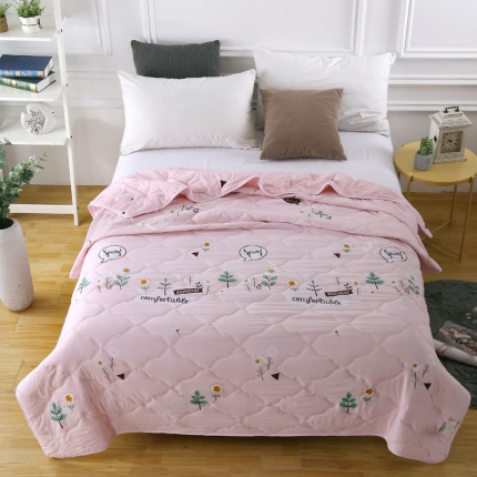 （总）小燕燕家纺 2021新款亲肤羽丝棉夏被