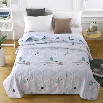 小燕燕家纺 2021新款亲肤羽丝棉夏被 田园蓝