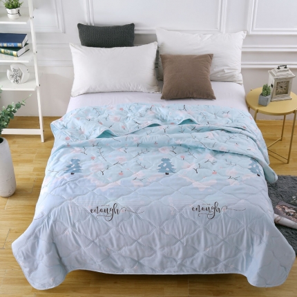 小燕燕家纺 2021新款亲肤羽丝棉夏被 雪景