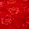 91家纺网 家纺一手货源 找家纺 尚品绵羊毛毯 2023新品美丽印象系列毛毯红色
