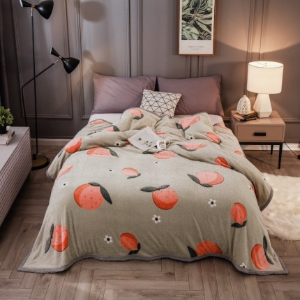 91家纺网 家纺一手货源 找家纺 （总）佰亿莱 2024新款毛毯毯子盖毯牛奶绒法莱绒水晶绒