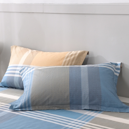 91家纺网 家纺一手货源 找家纺 宝齐莱家纺 单品印花枕套一只 布鲁赛尔