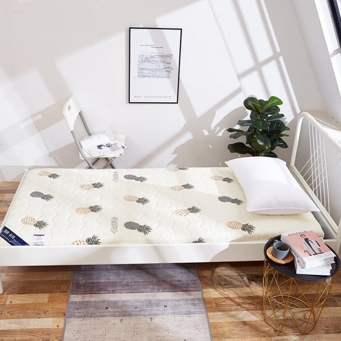 91家纺网 家纺一手货源 找家纺 （总）寐珂家纺 2025新款水洗棉学生床垫厚6cm