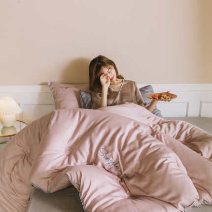 91家纺网 家纺一手货源 找家纺 莱福仕 2022 莫代尔刺绣冬被系列 冬被浅豆沙