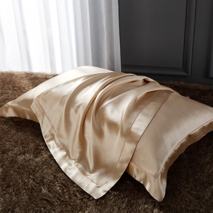 朗莎家纺 2019新款真丝宽边枕套48X74cm/对 香槟