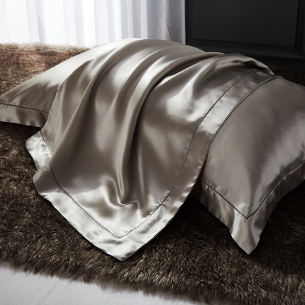 朗莎家纺 2019新款真丝宽边枕套48X74cm/对 银灰