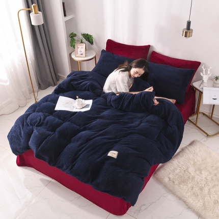 朗莎家纺 2019新款加厚保暖羊羔绒四件套单品单被套床单 藏青