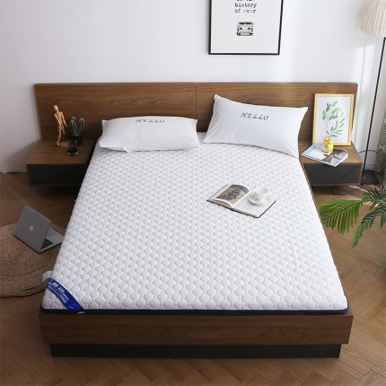 天艺床垫 2019新款乳胶减压款床垫（厚度7公分）减压款 白