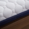 91家纺网 家纺一手货源 找家纺 天艺床垫 2019新款乳胶减压款床垫（厚度7公分）减压款 白