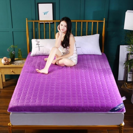 祥源阁 2019爆款6cm硬质棉床垫 紫色法兰绒