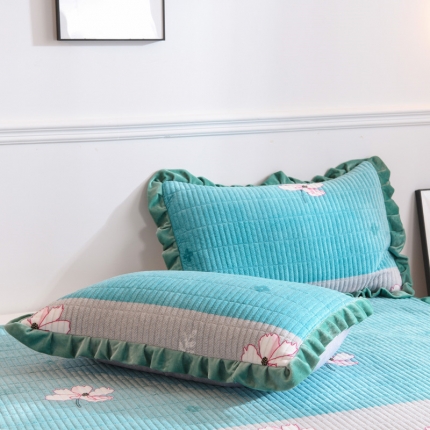 91家纺网 家纺一手货源 找家纺 （总）雨洋家纺 2025新款水晶绒枕套一对