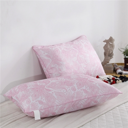 91家纺网 家纺一手货源 找家纺 (总)天意美枕芯 羽丝棉枕