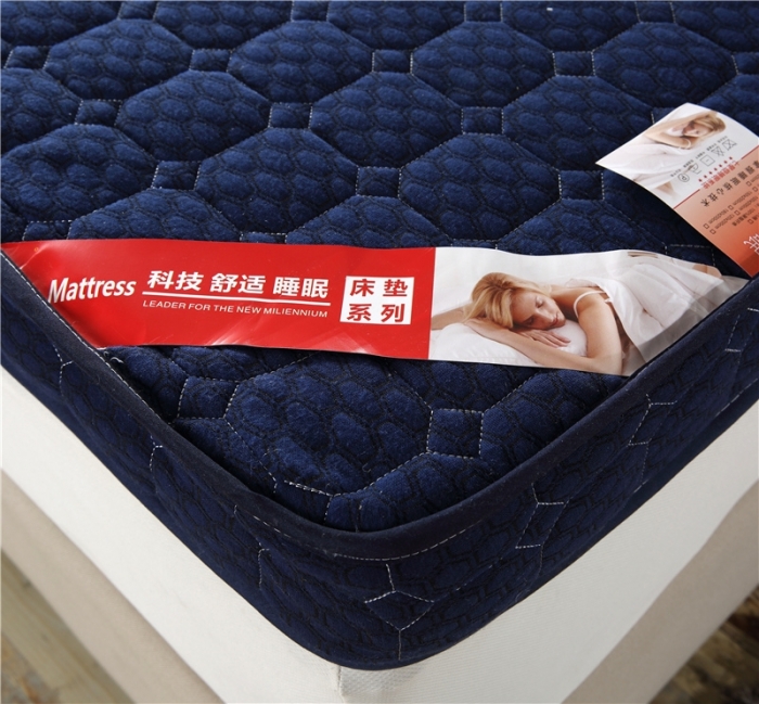 91家纺网 家纺一手货源 找家纺 欣罗兰垫业 2022垫业床垫 记忆棉立体10cm厚