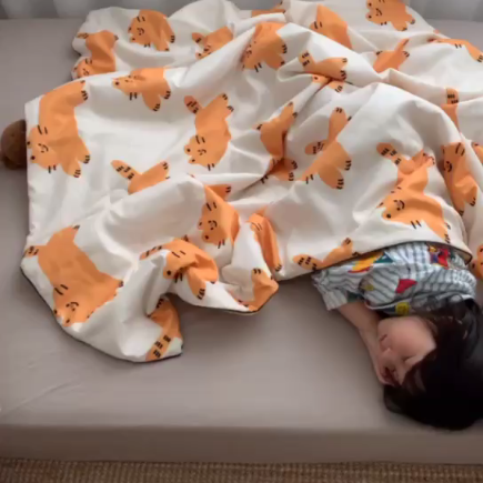 91家纺网 家纺一手货源 找家纺 星期八 2019新款ins风夏被 懒猫