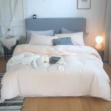 91家纺网 家纺一手货源 找家纺 梦家居 2019韩国简约素色天鹅绒四件套 浅米色