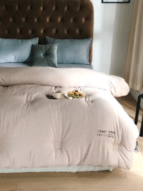 91家纺网 家纺一手货源 找家纺 莱福仕 2020 BBH热能纤维被 BBH-浅驼