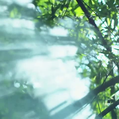 91家纺网 家纺一手货源 找家纺 澳洲羽2024新款全棉喷气水洗印花水洗棉夏被 长颈鹿