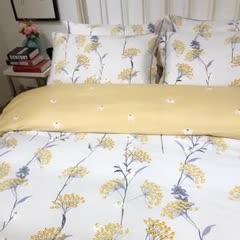 91家纺网 家纺一手货源 找家纺 棉生活新款40S臻棉四件套 黛拉