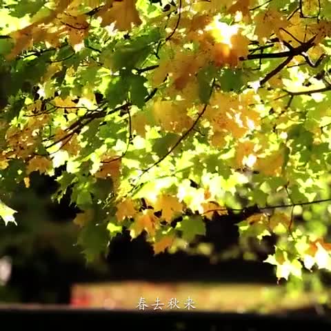 91家纺网 家纺一手货源 找家纺 （总）雲归梦2021新款多规格全棉加厚生态磨毛四件套