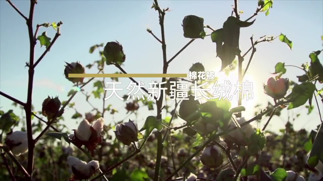 91家纺网 家纺一手货源 找家纺 棉造家居总-复合棉鱼鳞网线棉胎冬被芯被子（包检测）