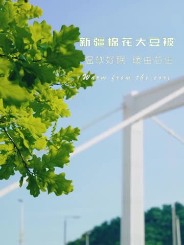 91家纺网 家纺一手货源 找家纺 棉造家居 钻石网提花网纱新疆棉花被200条起订白色100%