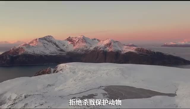 91家纺网 家纺一手货源 找家纺 （总）凯轩毛毛毯毯子 仿雪狐毛皮毛毛毯毯子 婚庆毛毯毯子 保暖毛毯毯子