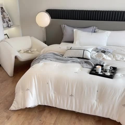 91家纺网 家纺一手货源 找家纺 A+爱家 2024新款A类蚕丝大豆被 本白