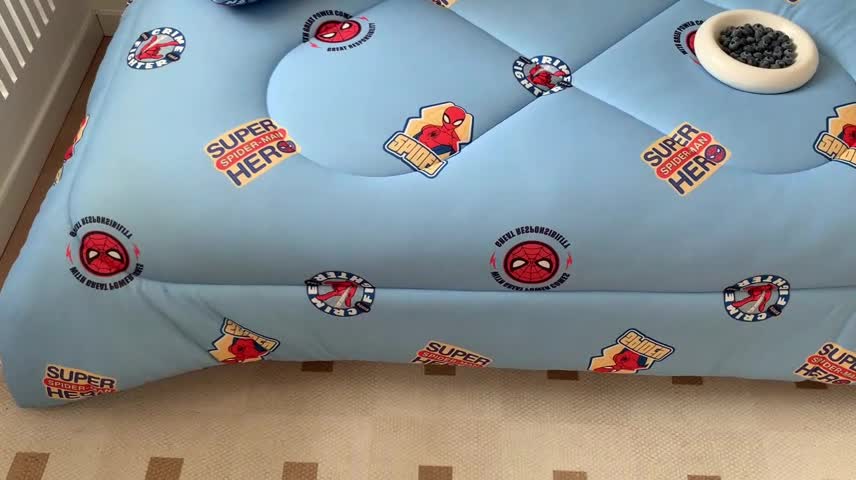 91家纺网 家纺一手货源 找家纺 (总)星期八 漫威春秋被冬被系列