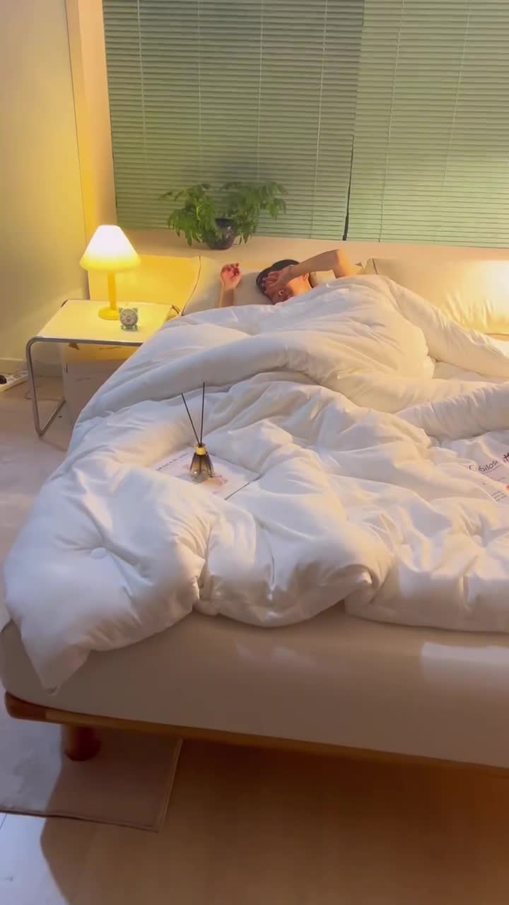 91家纺网 家纺一手货源 找家纺 伊被源 2022新款亲肤抗菌纤维舒适冬被被子被芯-燕窝里 白色