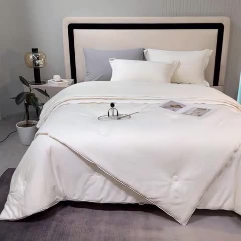 91家纺网 家纺一手货源 找家纺 （总）A+爱家 2024新款55% 豆皇大豆被李官奇大豆被