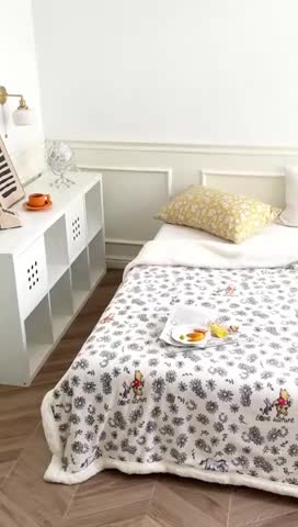 91家纺网 家纺一手货源 找家纺 时年 2022新款牛奶绒拼羊羔绒毯 郊游维尼