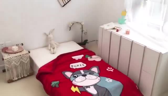 91家纺网 家纺一手货源 找家纺 凯轩毛毛毯毯子 大版花儿童云毛毯毯子 小飞猫  大红