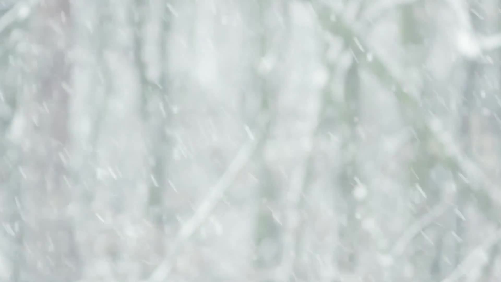 91家纺网 家纺一手货源 找家纺 被靠被 2023新款石墨烯科技发热被子系列 土豪金