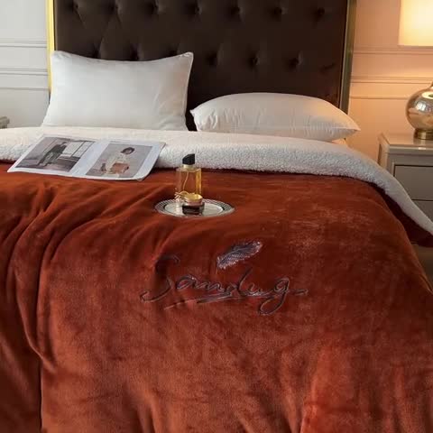 91家纺网 家纺一手货源 找家纺 骏腾家纺 2022新款牛奶绒羊羔绒被套毯系列 羽毛-棕色