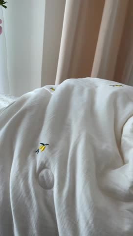 91家纺网 家纺一手货源 找家纺 木楌 2024新款双层皱皱纱刺绣款夏被 枇杷叶